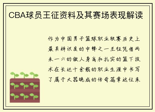 CBA球员王征资料及其赛场表现解读